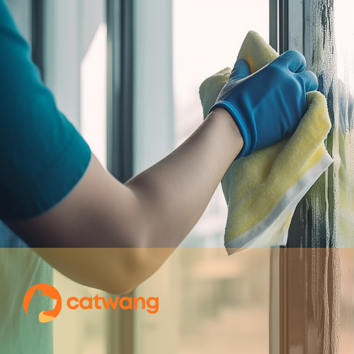Post-Construction Cleaning